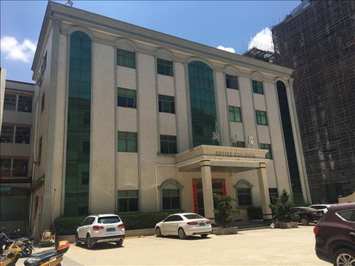 岳陽(yáng)市房屋改造安全檢測(cè)鑒定報(bào)告辦理勞務(wù)服務(wù)指南